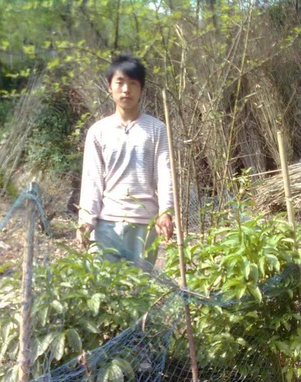 在自然中寻找平静，绿意环绕，心也跟着静下来。🌳💚 回不去的青春自然之美