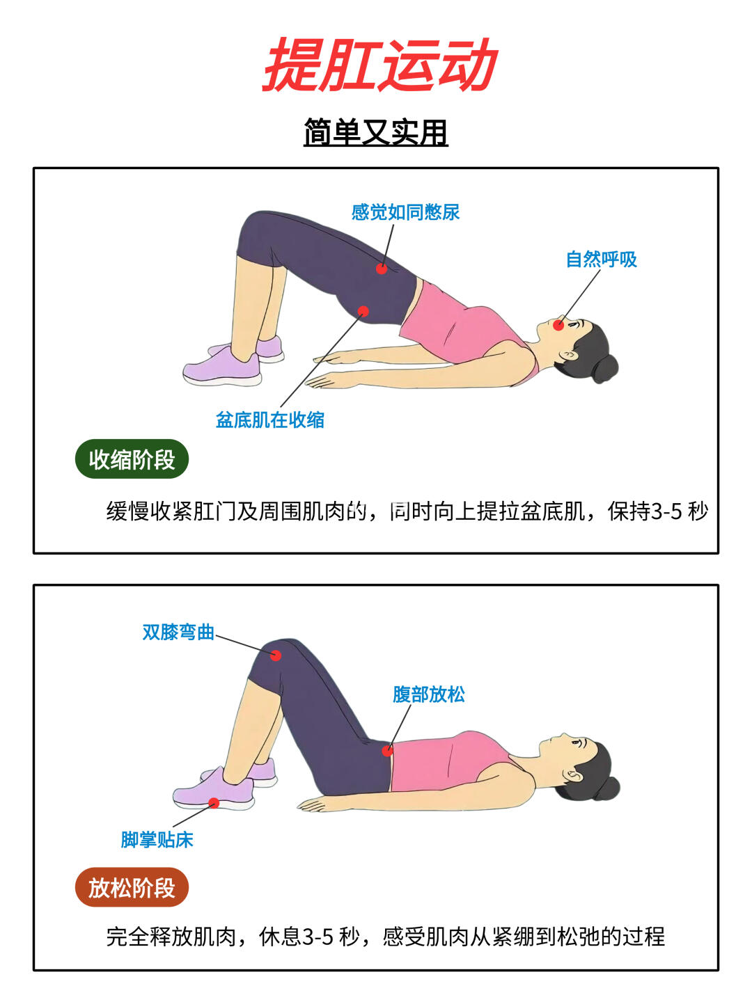 每天提肛10分钟🔥身体会发生什么变化……