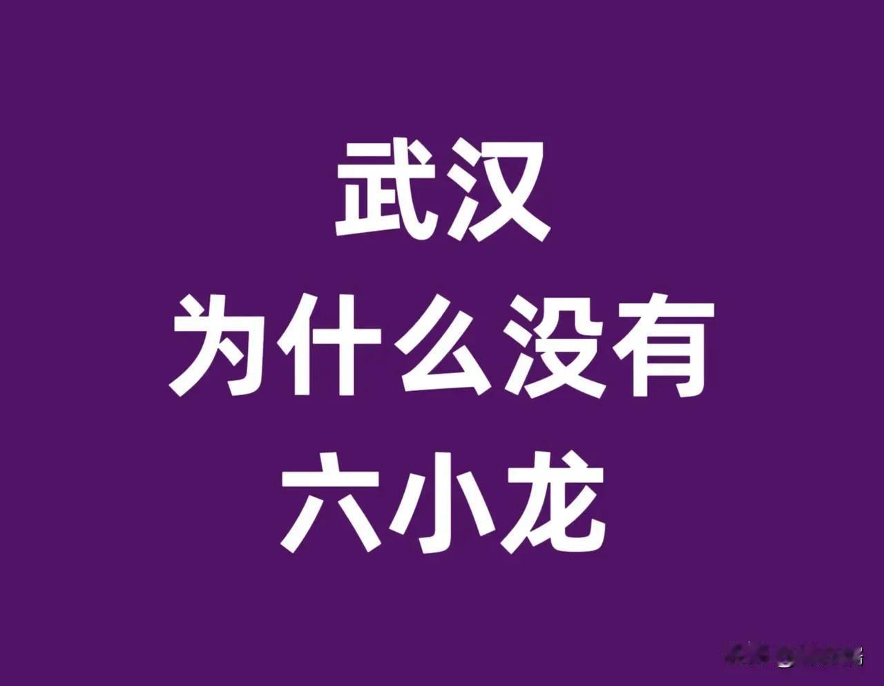 实际上，最应当反思未能产生六小龙（此处应是一种特定概念，原文未详细解释，推测是指