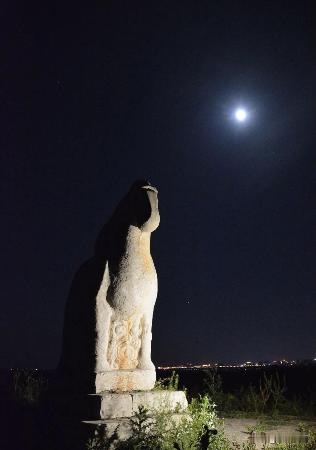 抬头望月月不语
回首看星星无言