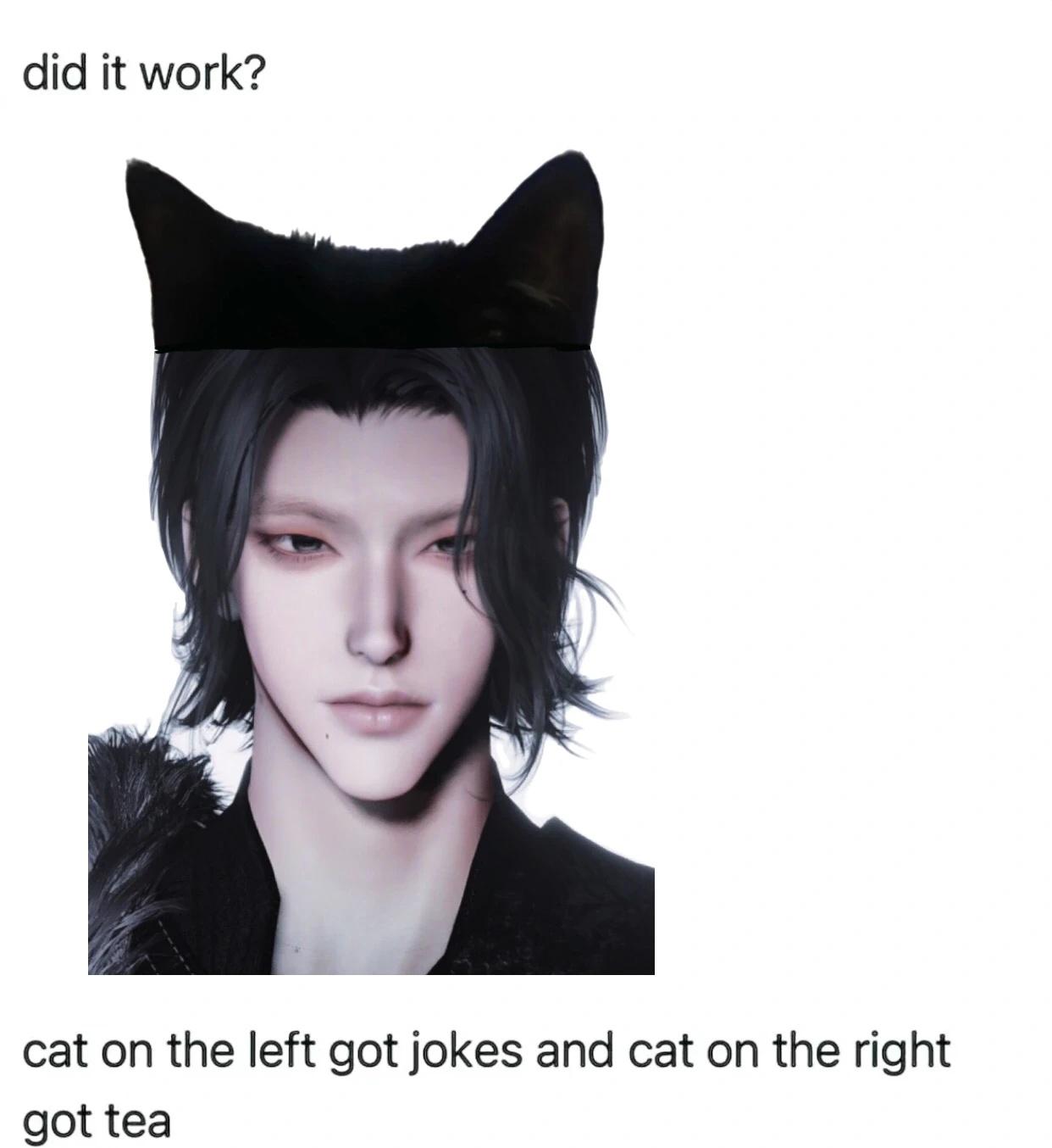 凌云踏别踹我脸行吗
p了黑猫。燕云十六声  猫塑  梗图