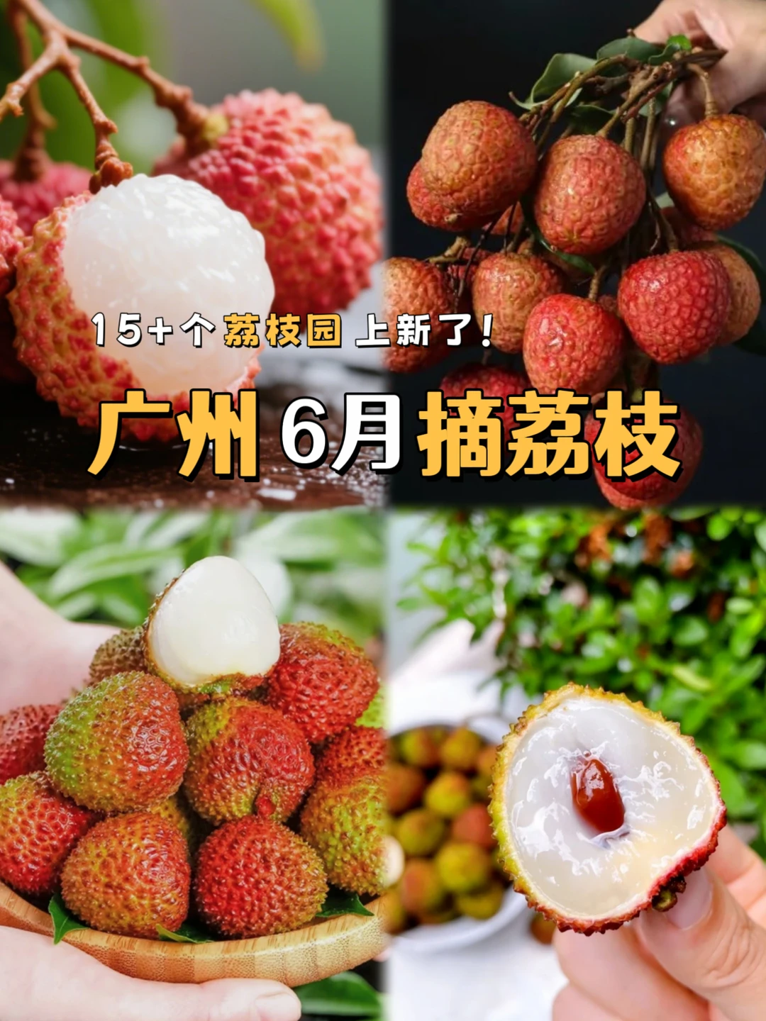 6月限定❗广州16+个荔枝采摘园