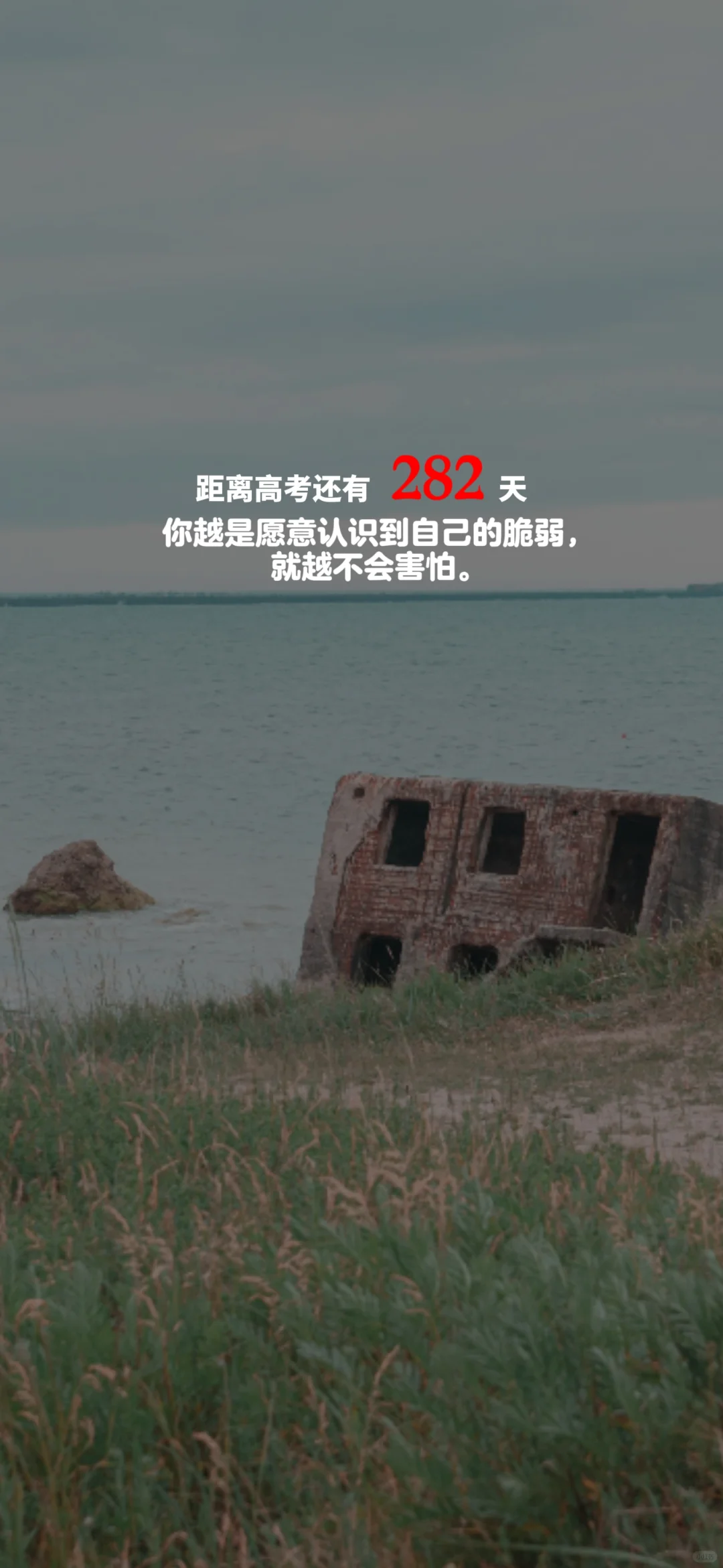 2025高考倒计时，每日更新。
