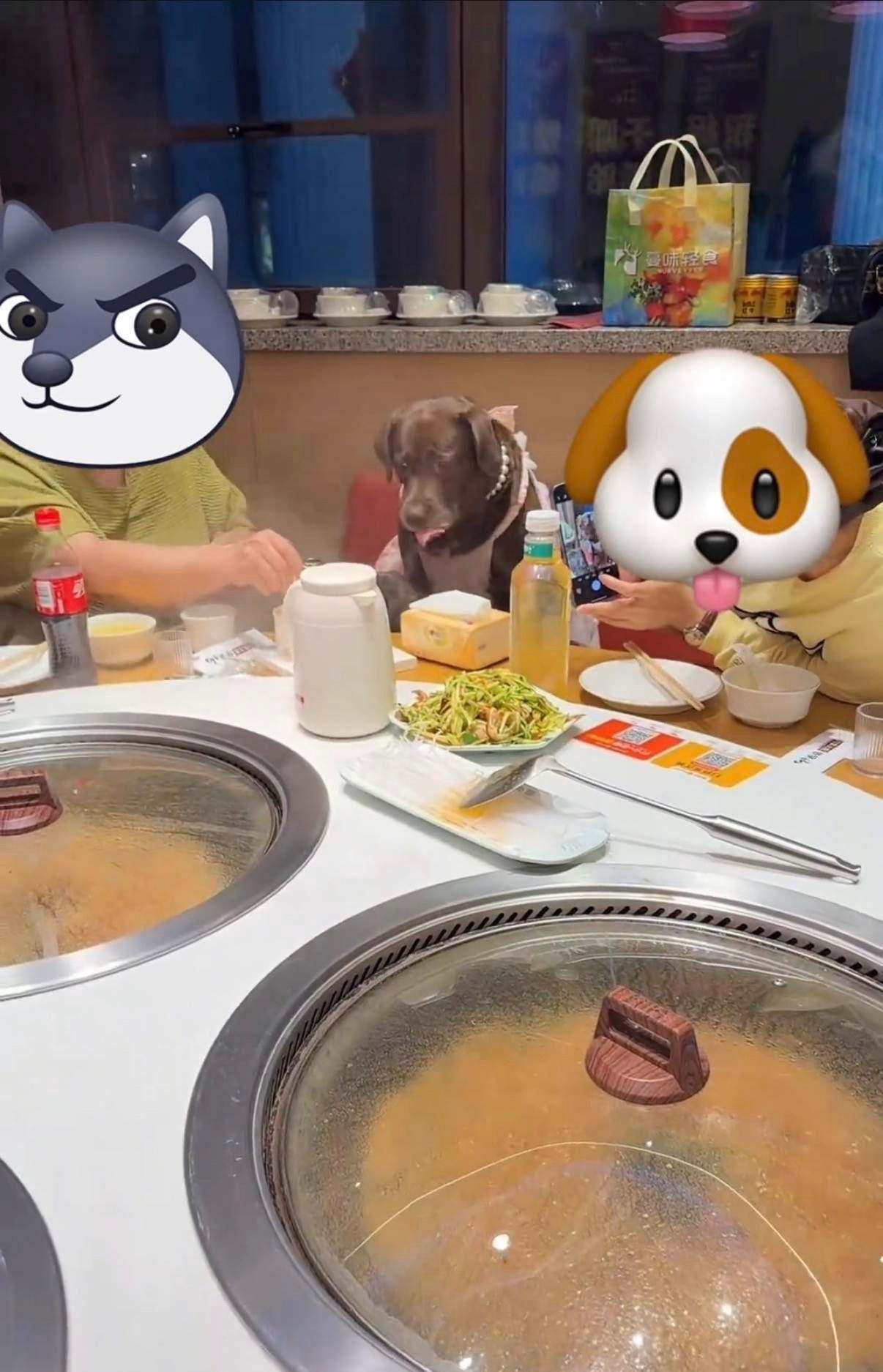 天津一家饭店的包间里一位女士在饭店给自家宠物狗庆祝四岁生日，还直接拿餐厅的勺子挖