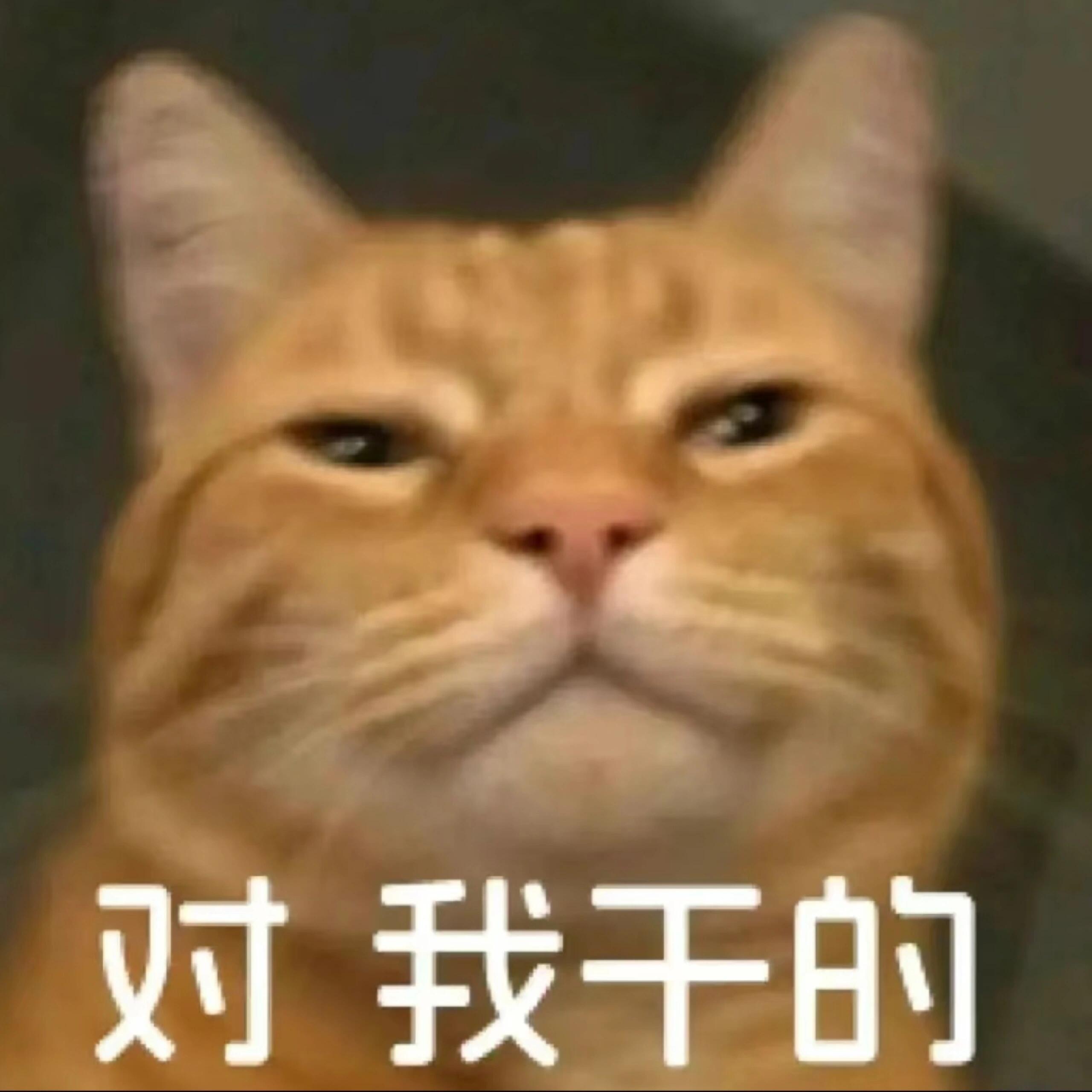 接下来替您分析 遇到蠢货怎么办分情况实用处理方法1. 路人、无关陌生人（只短暂交
