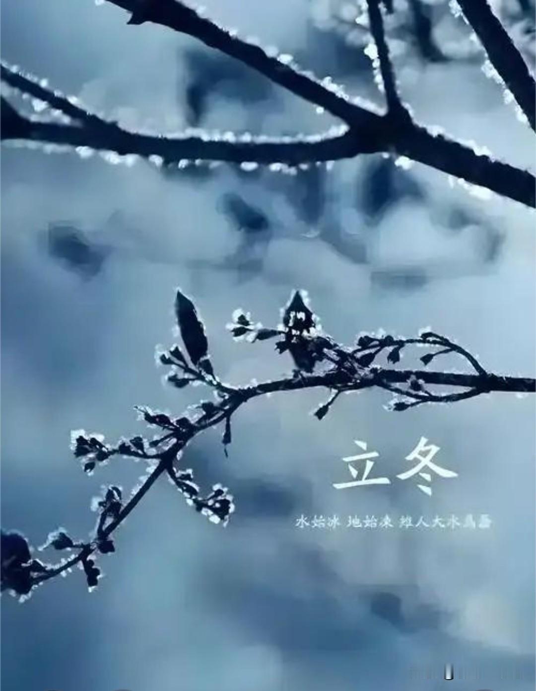 “立冬”，在南方有这样一种说法:十月小阳春。可在一周前不知是雪太思念冬，还是冬不