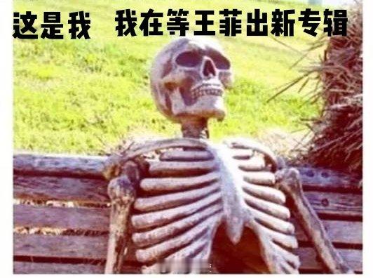 #王菲给尹昉送了花篮#好消息：王菲营业了坏消息：送了个花篮，不见人不见声的那种谁