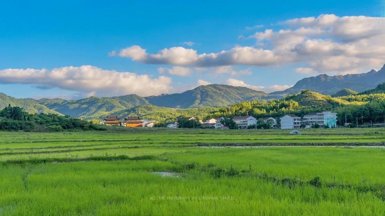 跟一位知名高中的重点老师聊天，老师跟我说，原来学校的大门是开的，学生中午和晚上的