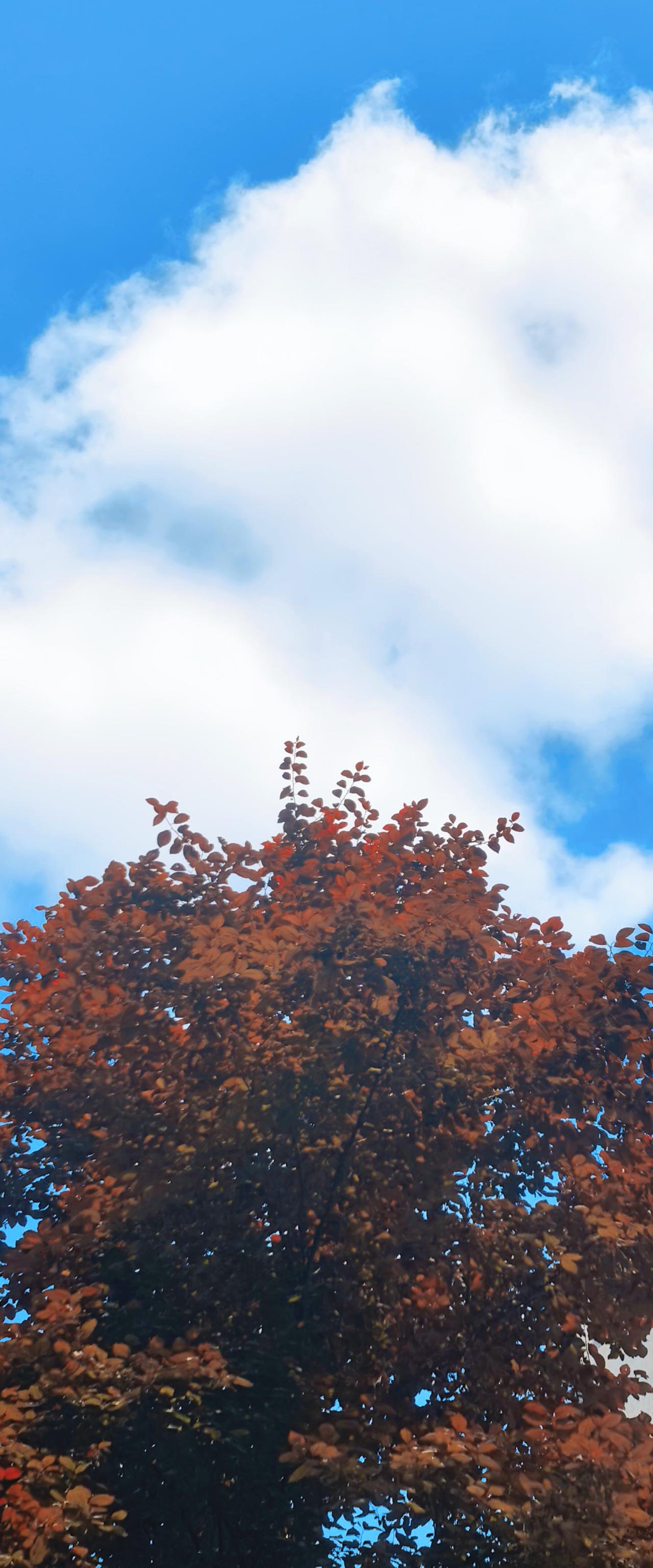 分享一张相册里随手拍的天空