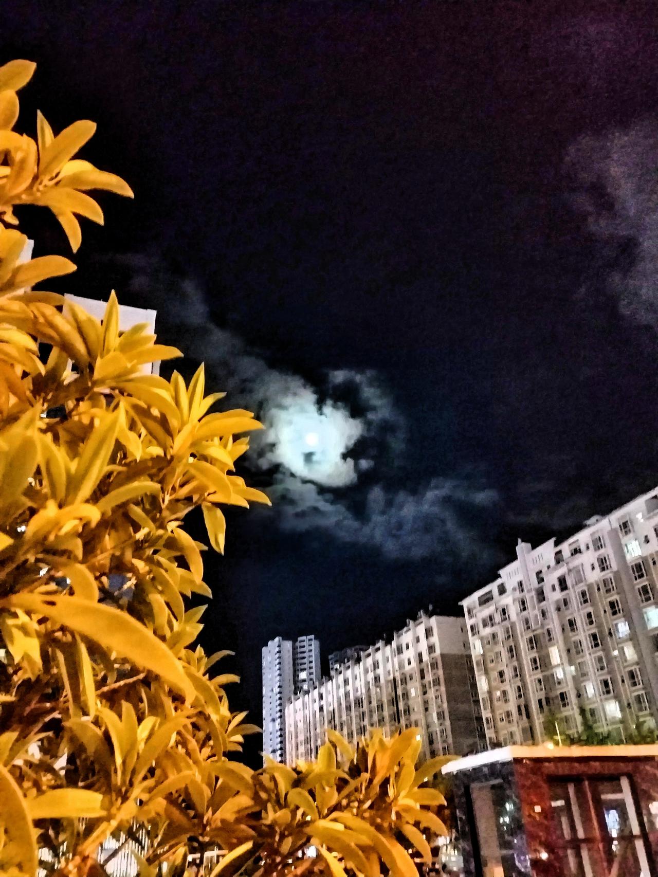 夜晚的云朵与城市灯光交相辉映，静谧而美丽。在这如梦如幻的交织中，偶尔有飞机划过夜