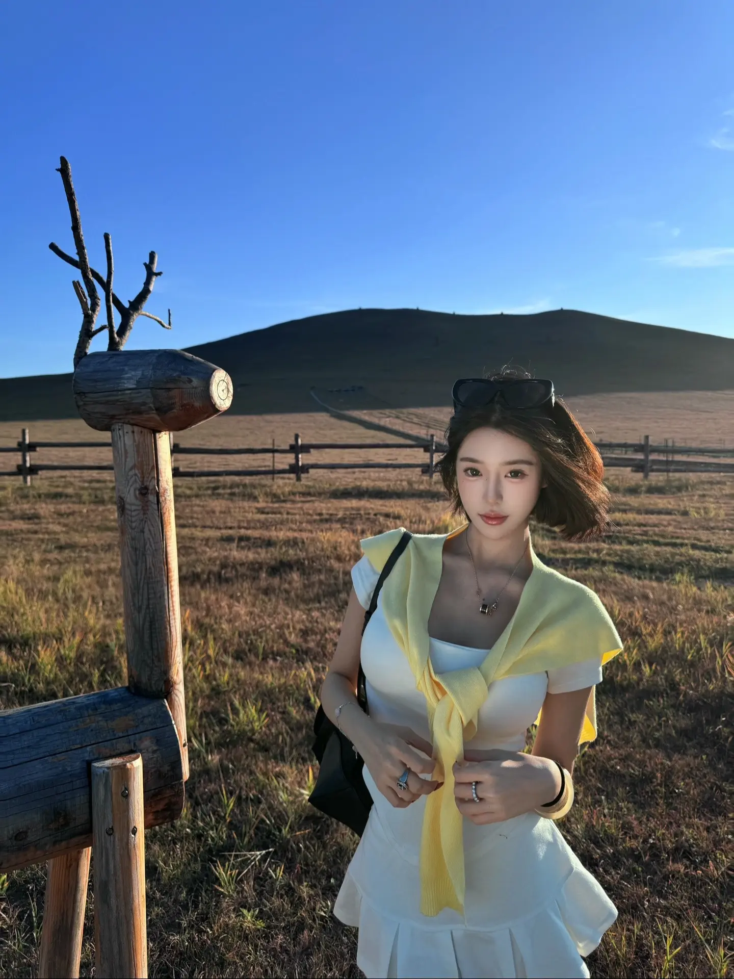 阳光真好
