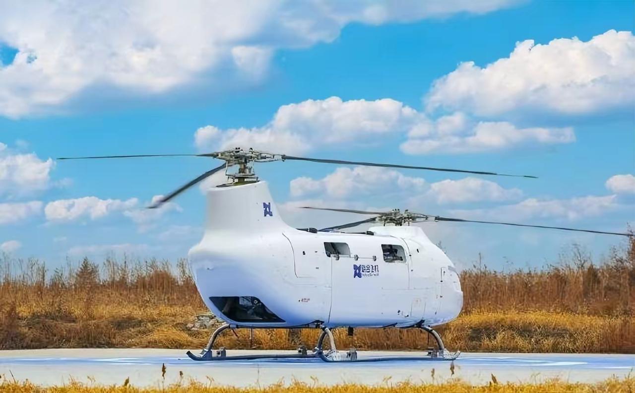 中国无人版支奴干