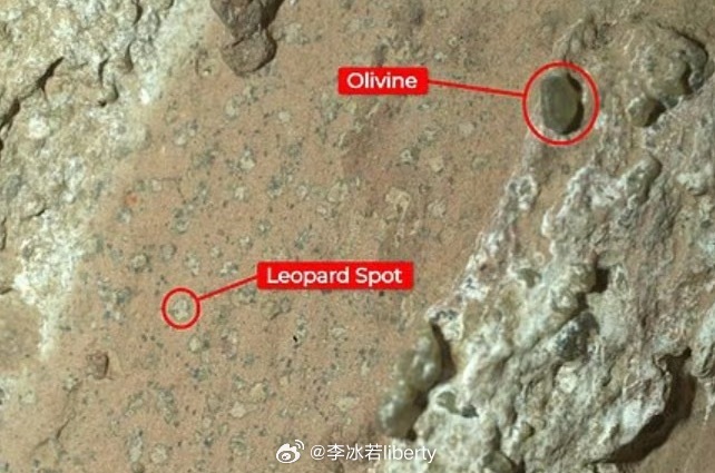 NASA明确发现火星生命迹象 听说“豹纹斑点”，通常与微生物代谢活动相关，据说富
