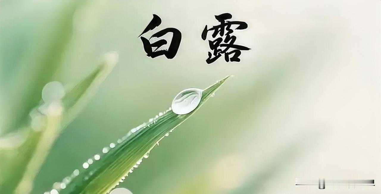 气温慢慢降下来。早上的水汽遇冷，凝结成白白的小露珠，白露的名字便是由此而来。