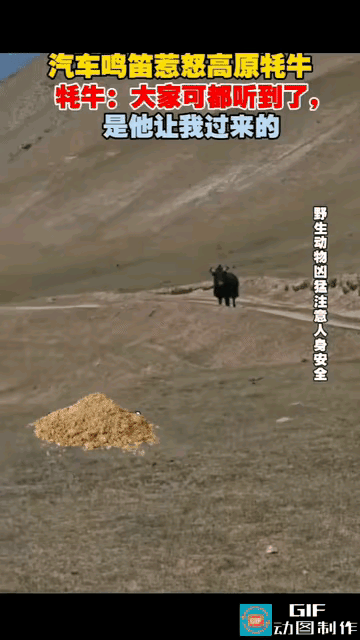有些人的素质就是非常差，到了野生动物的区域，还特意摁喇叭，这对野生动物的生活是有