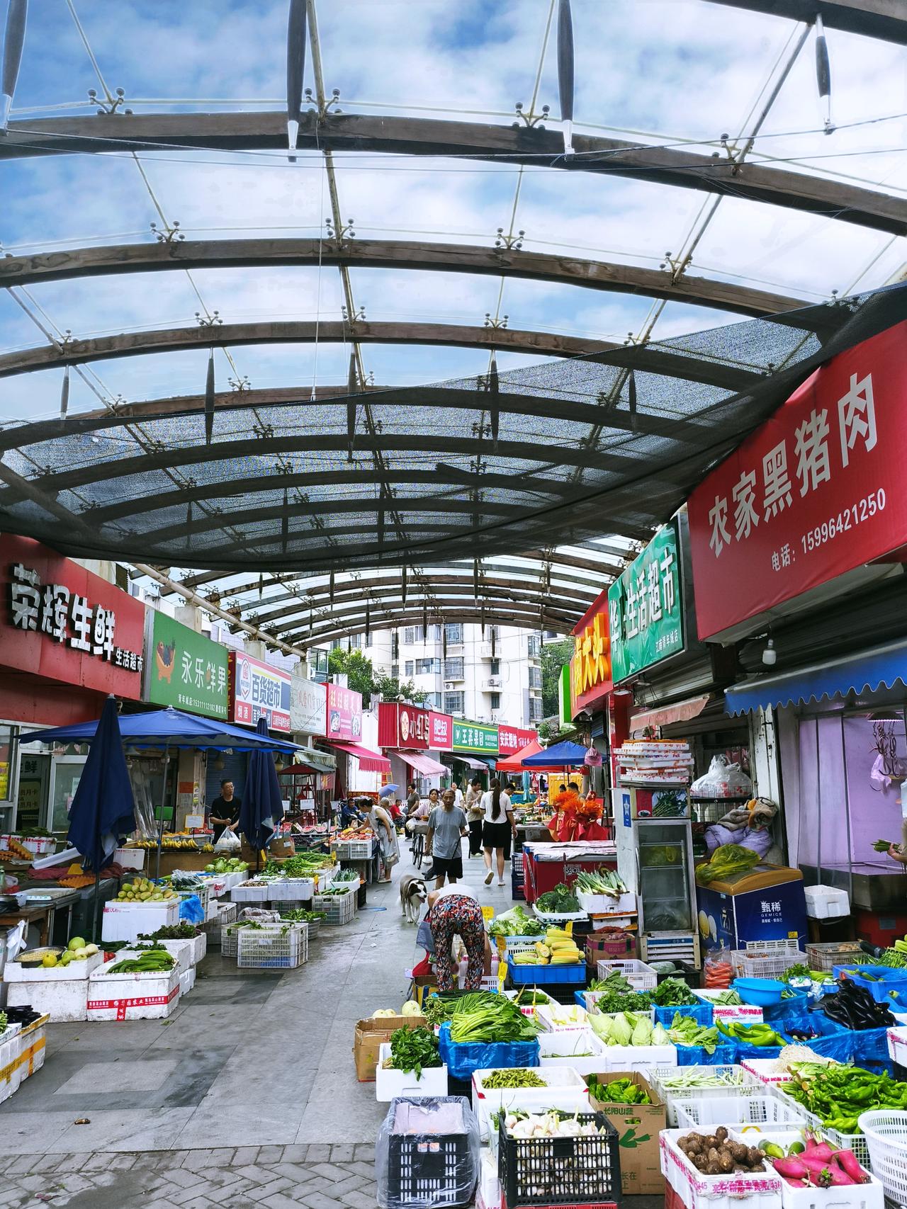 今天早上26°C，我赶紧去菜市场溜达了一圈。这不，大暑时节，太阳像个大火炉，没一