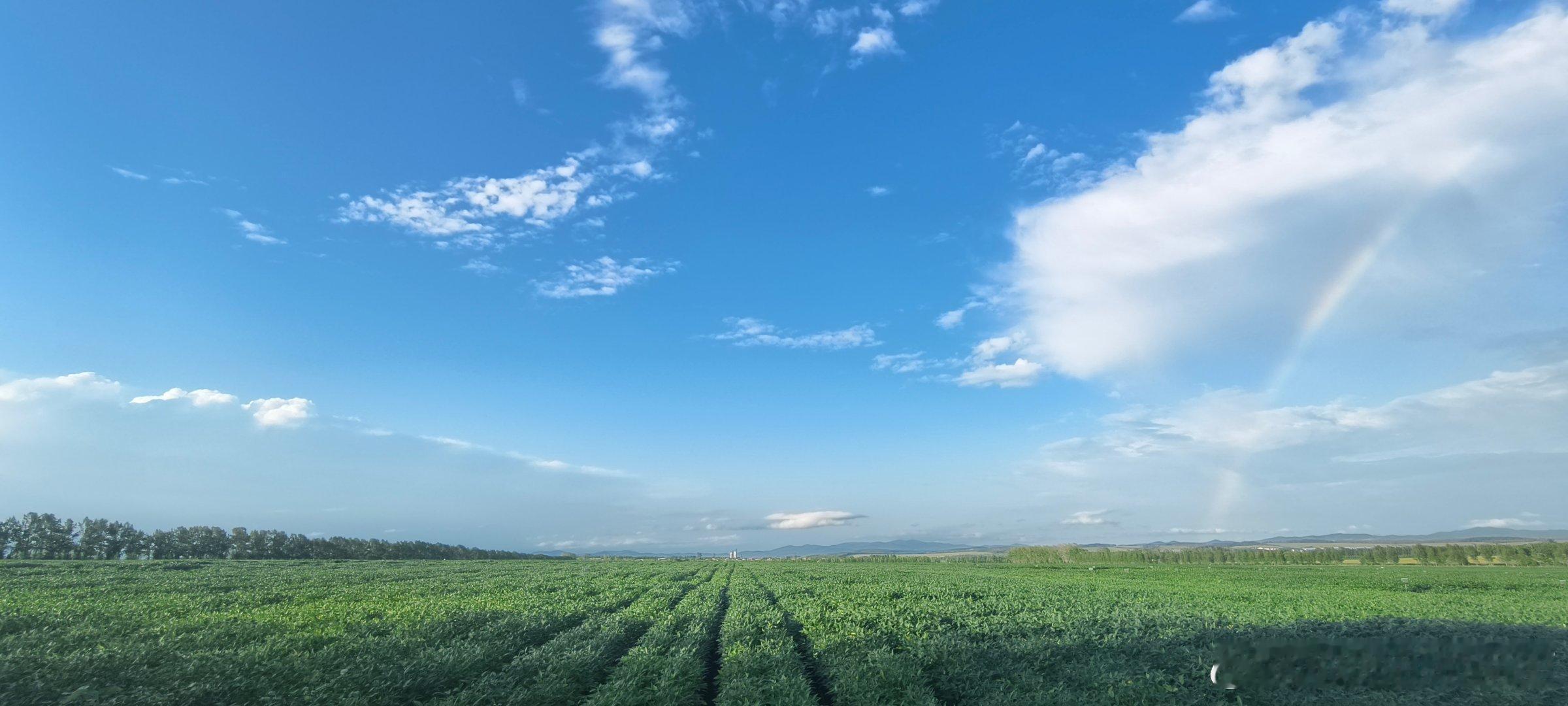 早呀，要感谢那些困难的日子，让你学会了成长。你选择了什么样的道路，就会拥有什么样