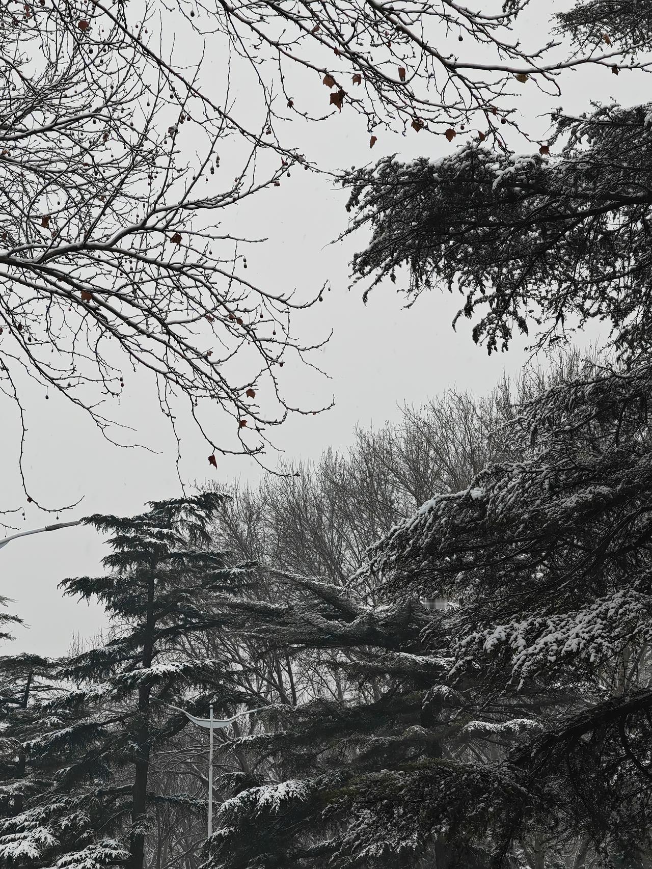 孙权授权陆逊，可以修改自己写给刘禅、诸葛亮的书信

孙权击退刘备、曹丕先后对东吴