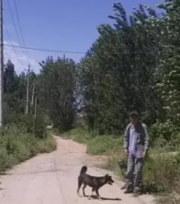 一老汉见人在宰黑狗，实在不忍，便用卖枣的钱买下黑狗，一年后，老汉去井里打水，那黑