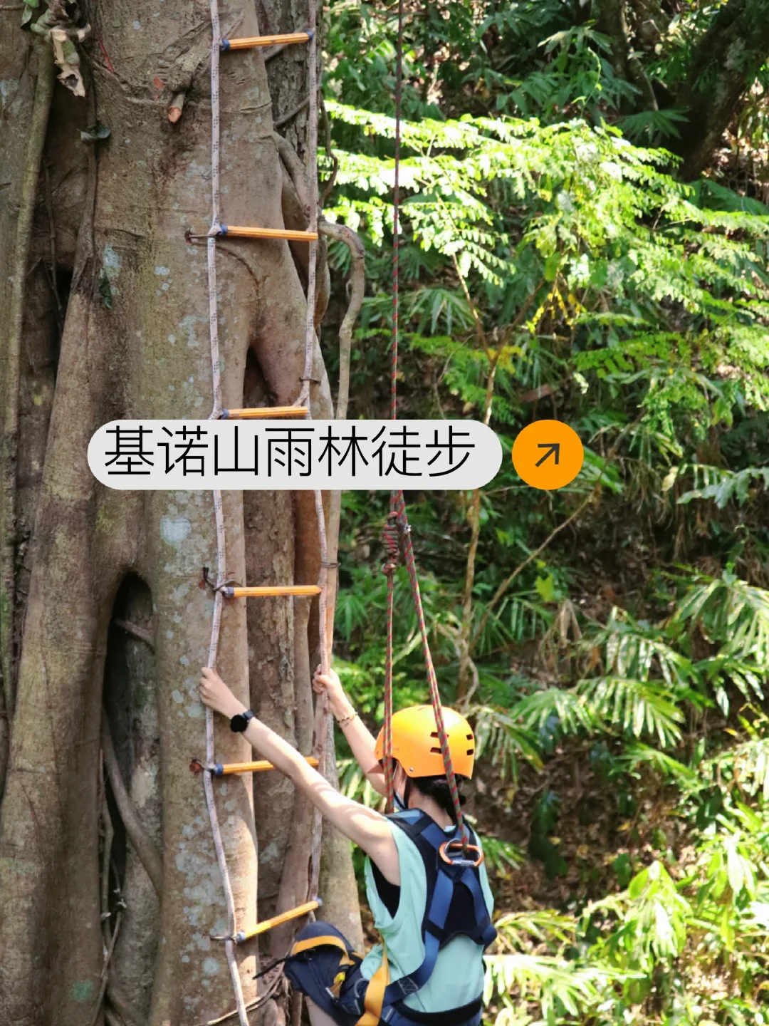 基诺山雨林徒步春节期间出行须知篇📖