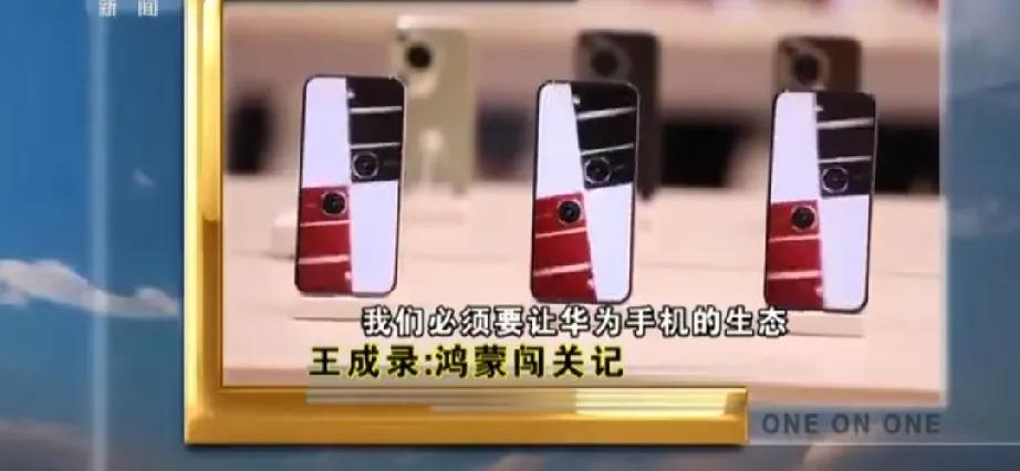 这就是为什么要支持华为的原因了。

王成录直接讲：我们必须要让华为手机的生态，长