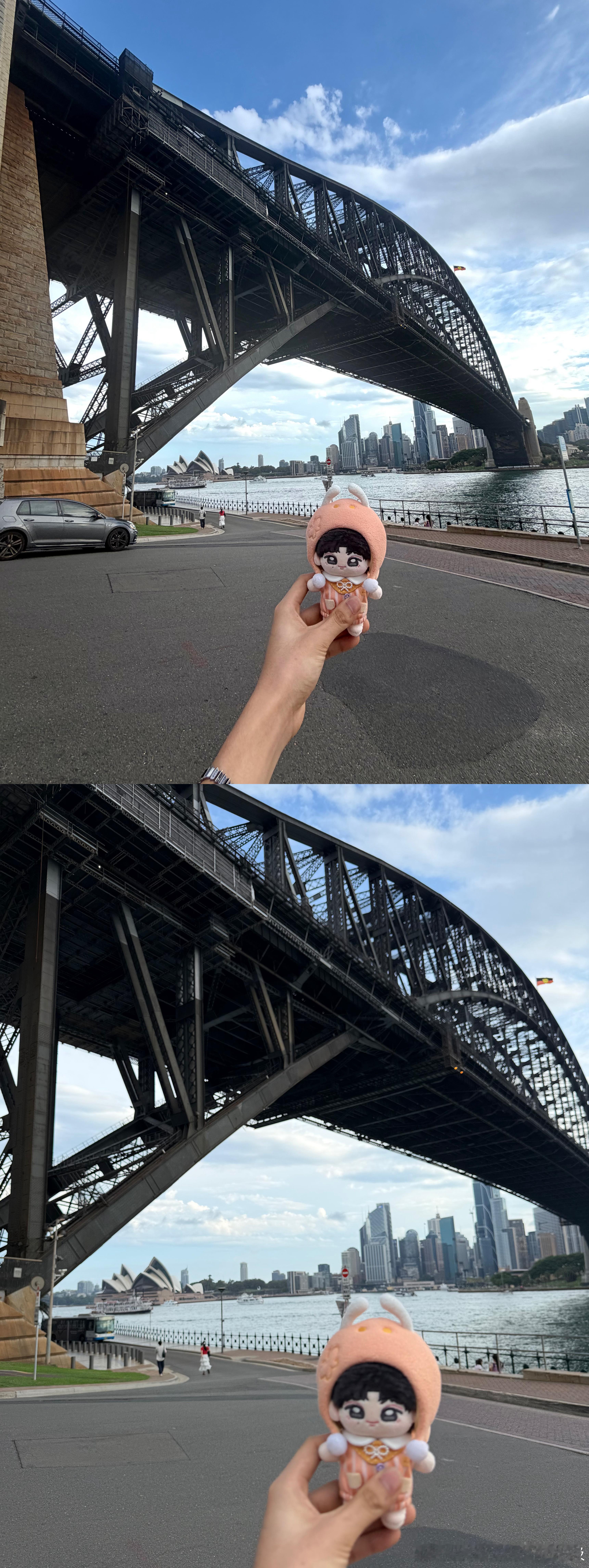 能不能快点上啊，我也要养 