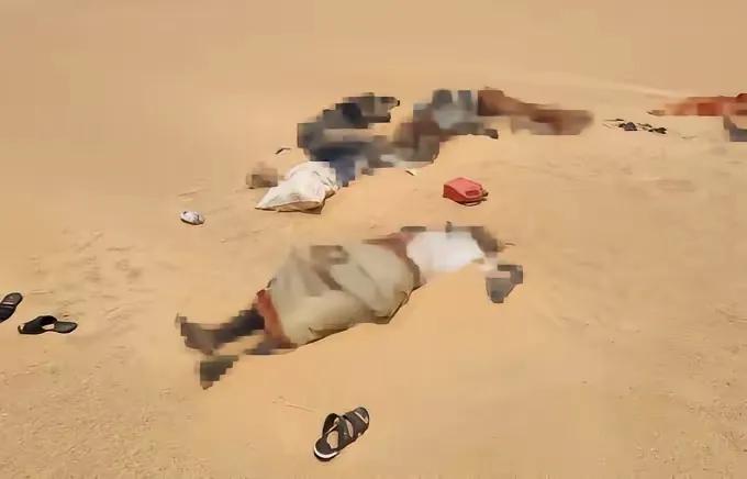 尼日尔返乡大卡车沙漠中抛锚，整整47条人命，就这样没了，

但眼下惨剧已然发生，