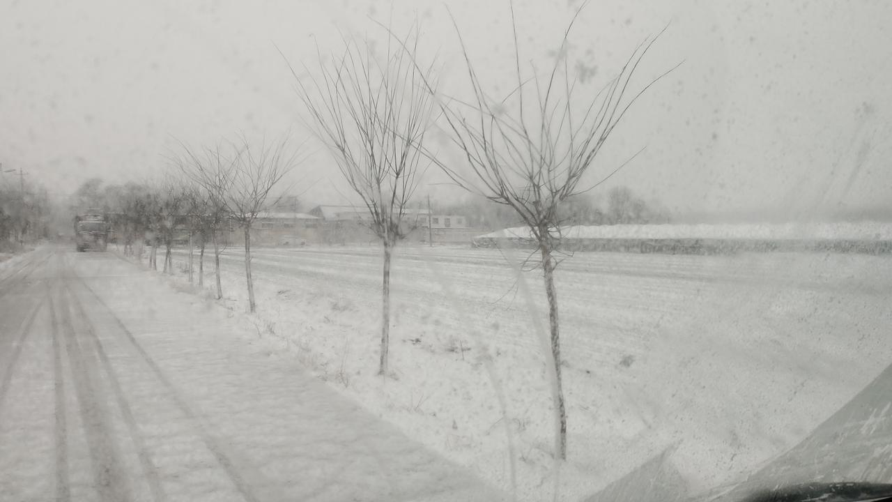 冬日雪景，静谧乡村路，雪花飘落，宁静祥和。