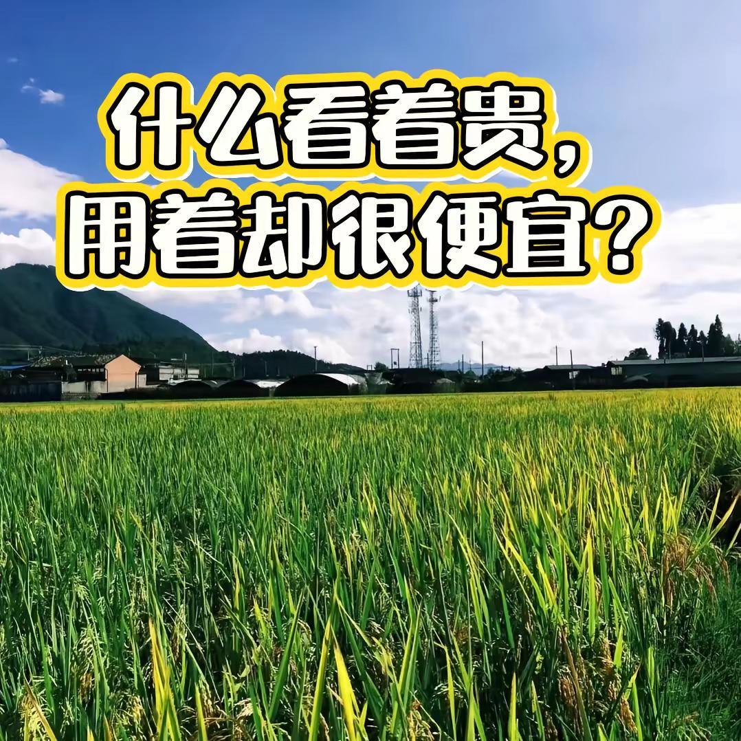 你觉得什么是看着贵，用着却很便宜的东西呢？1️⃣我分享一下顺丰快递，有网友问我，