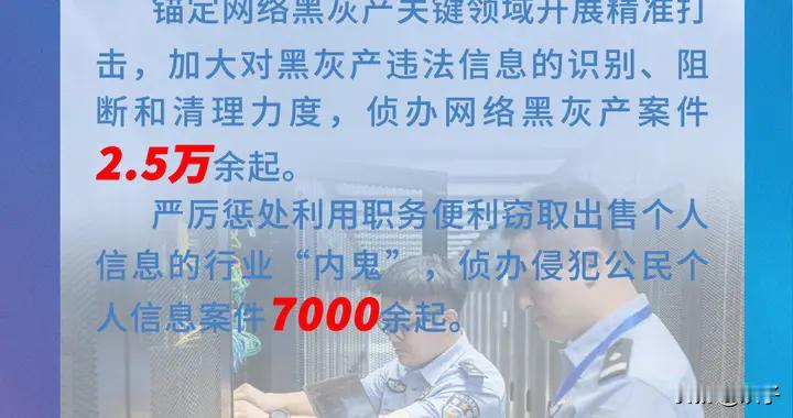 在2024年，全国公安机关持续推进“净网2024”专项行动，对网络违法犯罪活动进