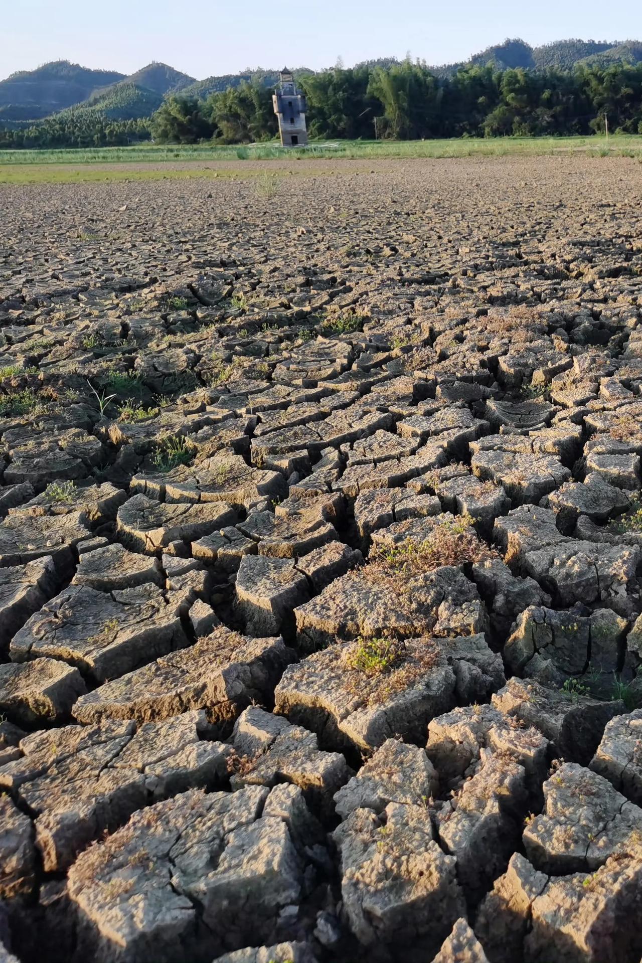 水中碉楼：光耀楼
位于台山白沙镇陈坑水库
在水库座落一独一无二的碉楼，
它叫【光