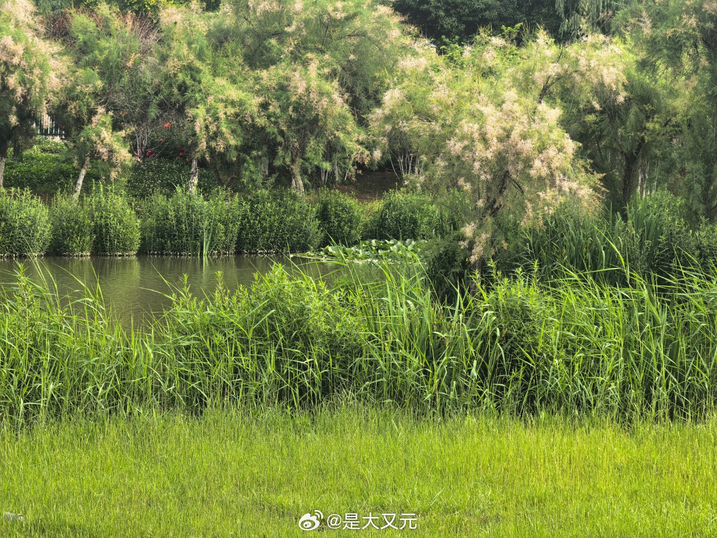 早安，大家