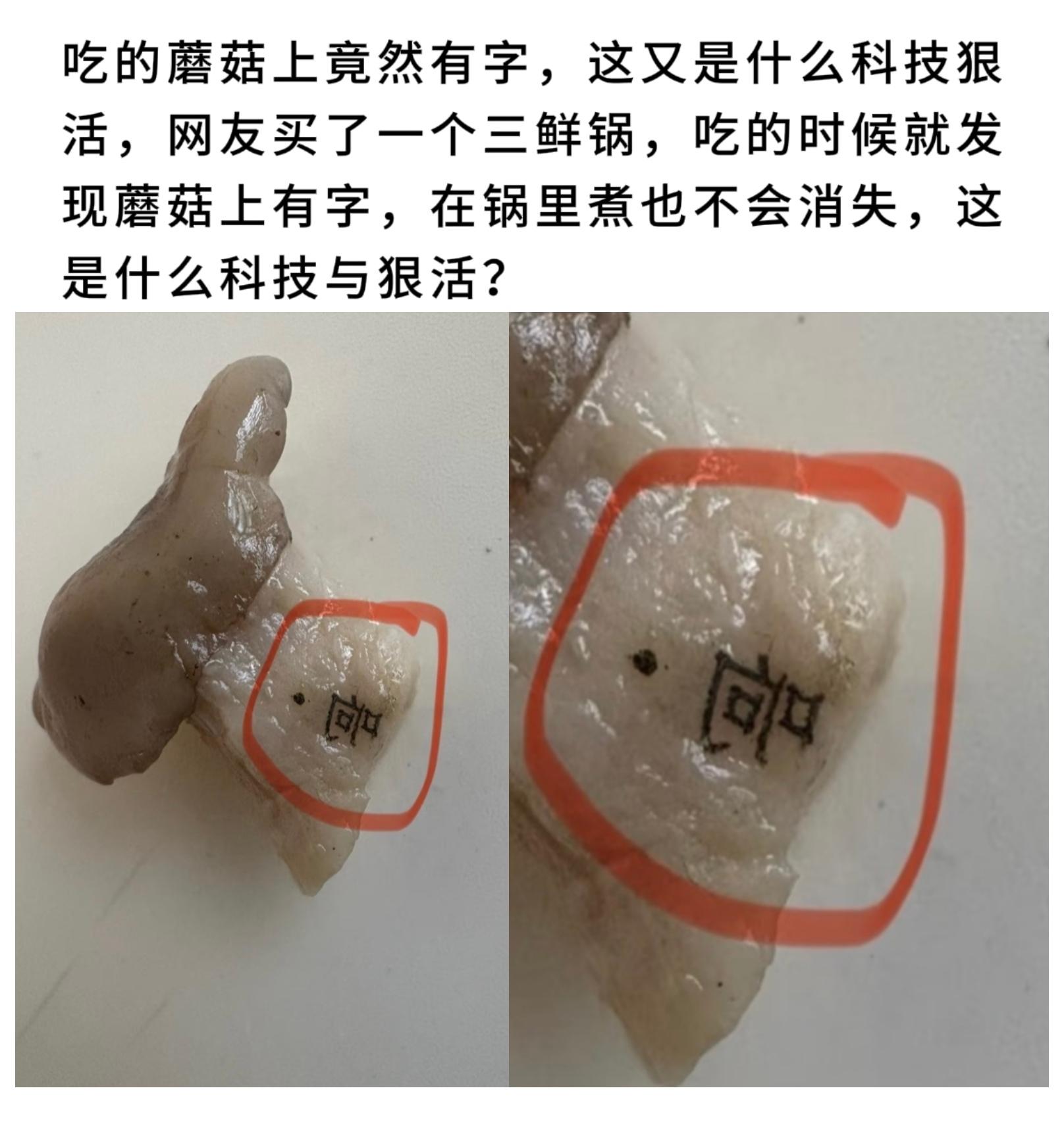 吃的蘑菇上竟然有字，这又是什么科技狠活