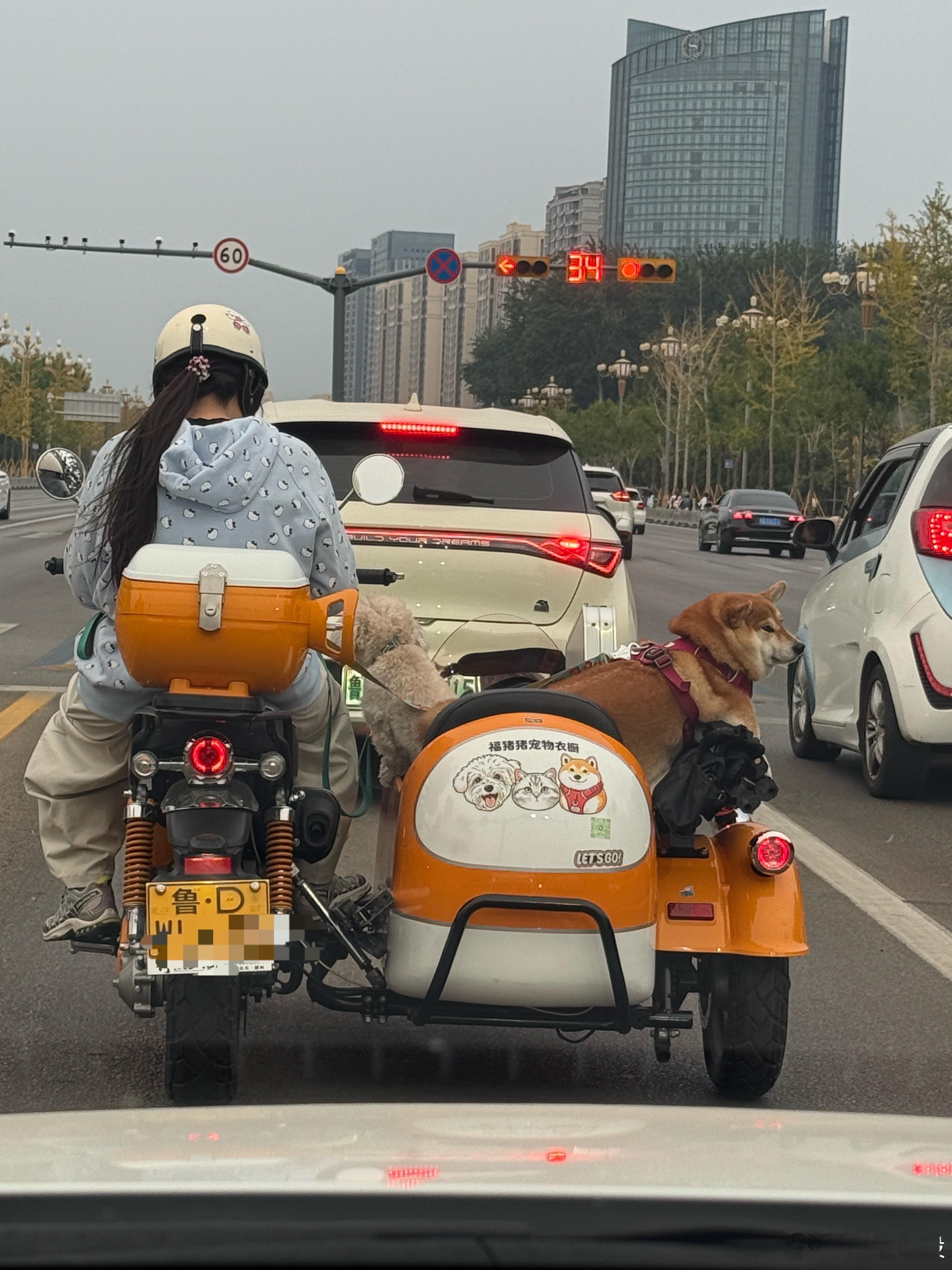 这个不错啊！贵不贵？想搞一辆 ​​​