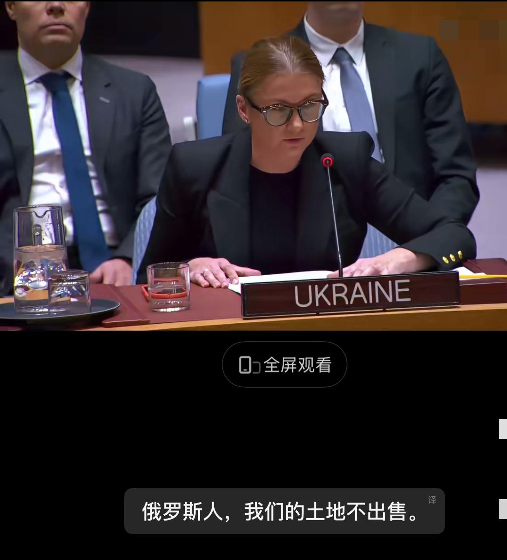 乌克兰联合国代表否决了特朗普提出的和平方案！

其一，绝不让步，毫无谈判余地。