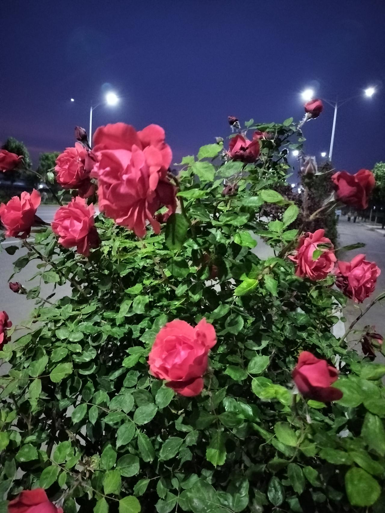 我认为应该，这种在任何场合都应该禁止，吸烟有害健康，并且对旁人也不好，该全民都禁