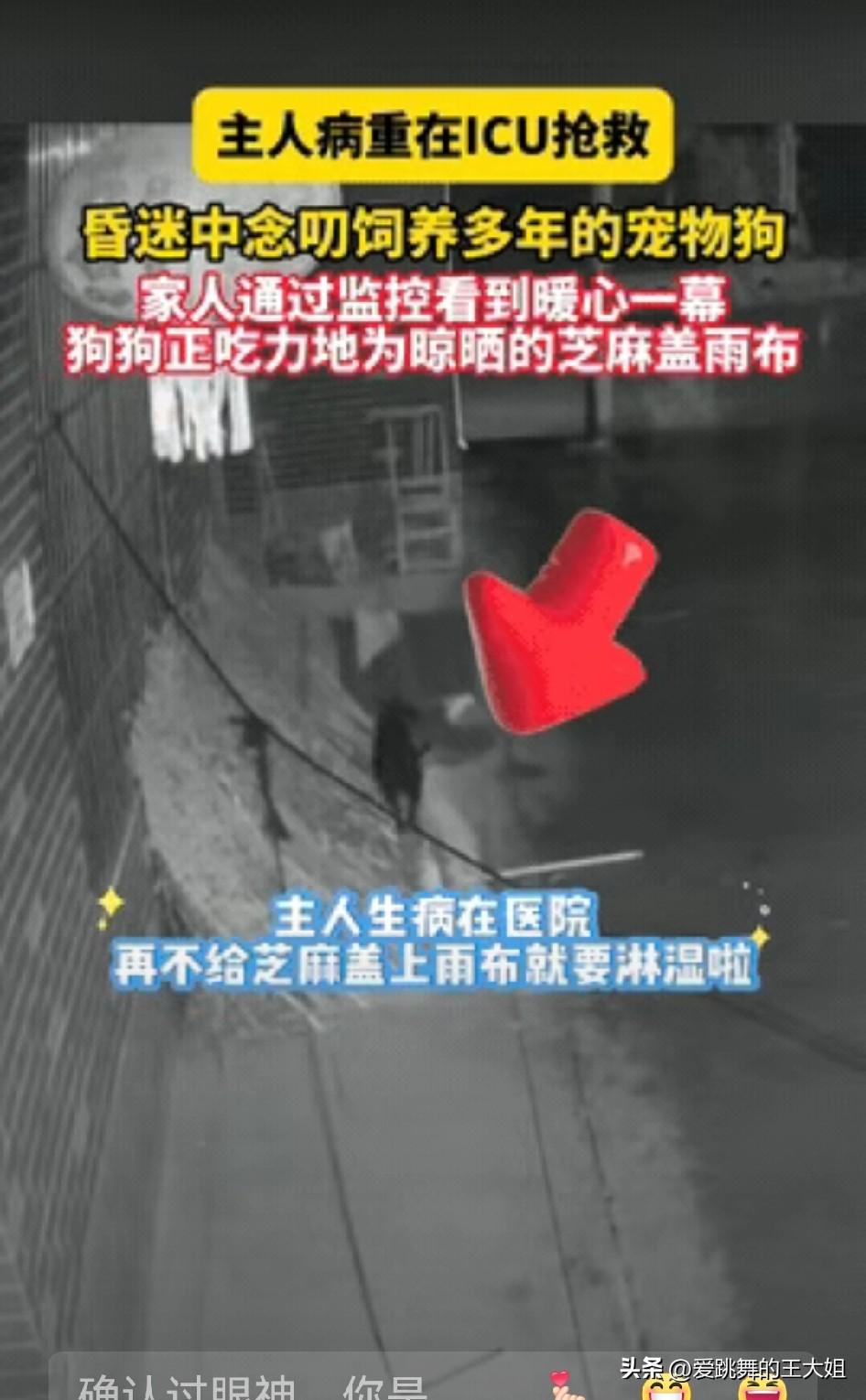 “还吃得下狗肉吗？”安徽阜阳，一女子因病送进医院，结果抢救过程中，她还在操心狗有