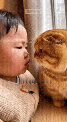 反复翻看这段视频，趣味氛围感十足。小家伙瞧见猫咪跳上桌打乱拼图，板起小脸认真说教