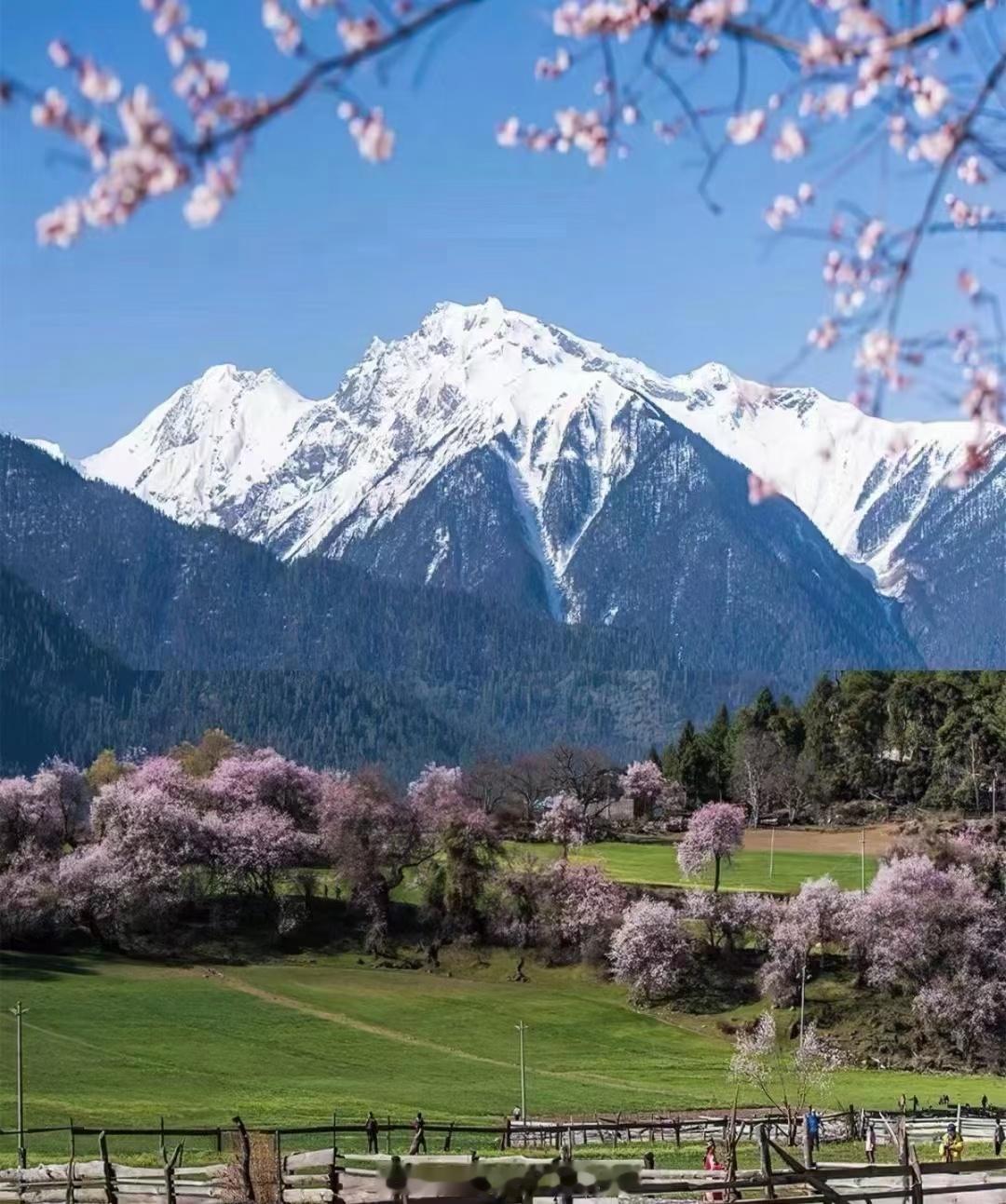 #西藏旅行#千万不要去西藏，灵魂容易留在这里！一生一世，西藏一次。 ​​​