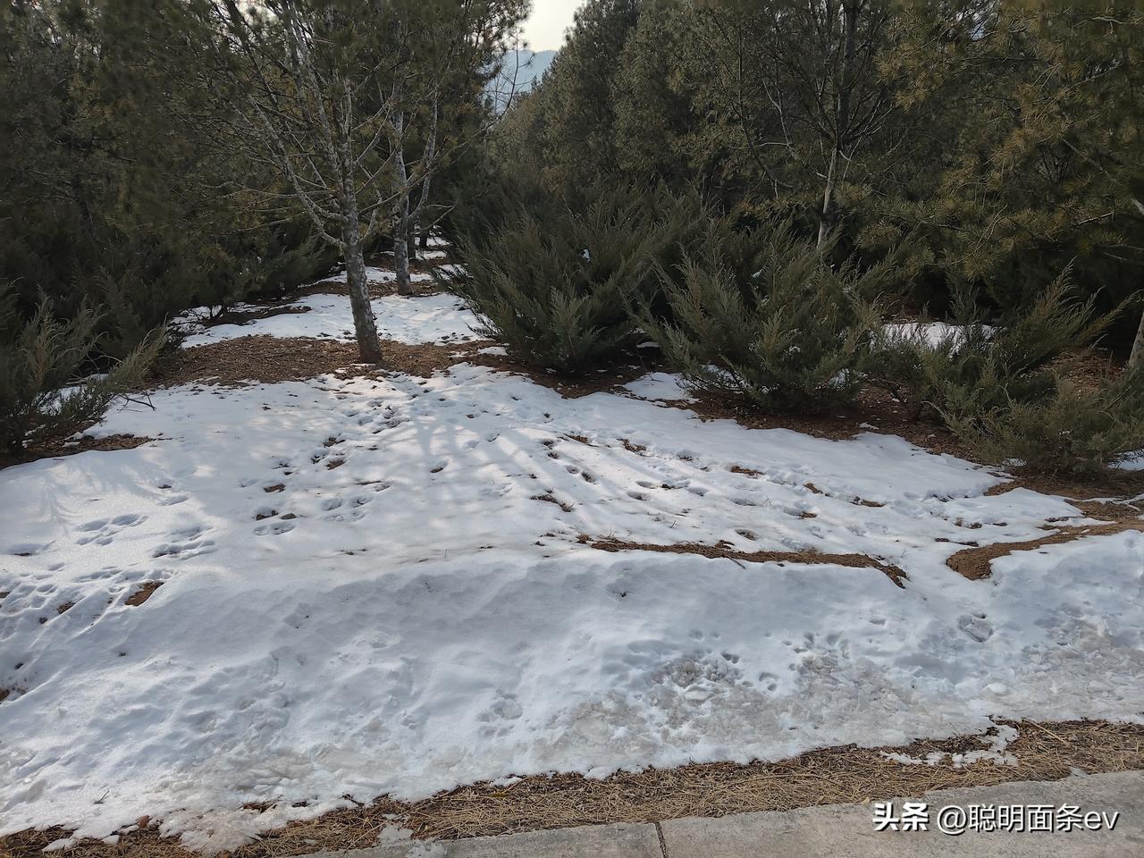 有没有下雪的美景图片