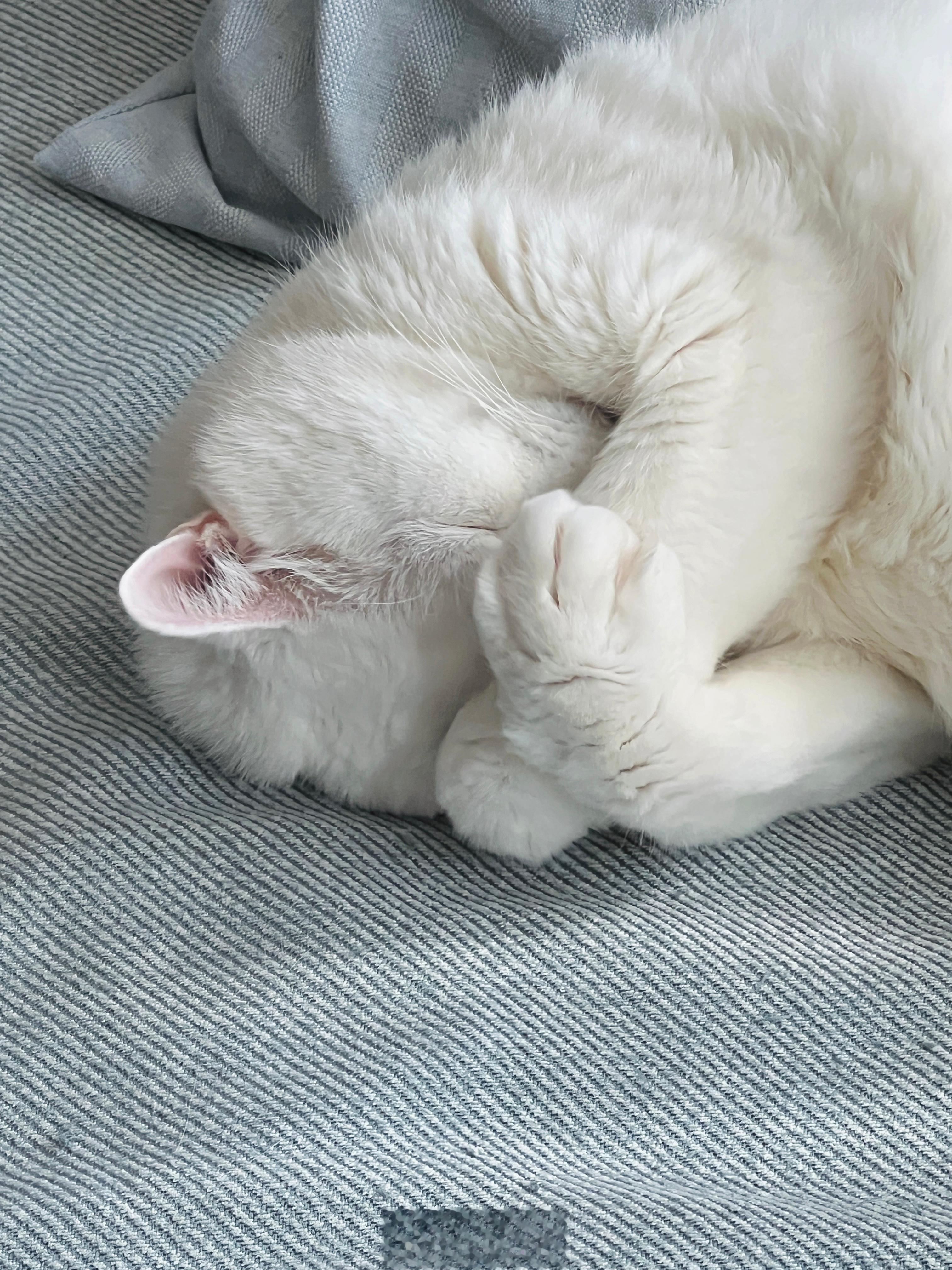 太亮惹～ ​​​