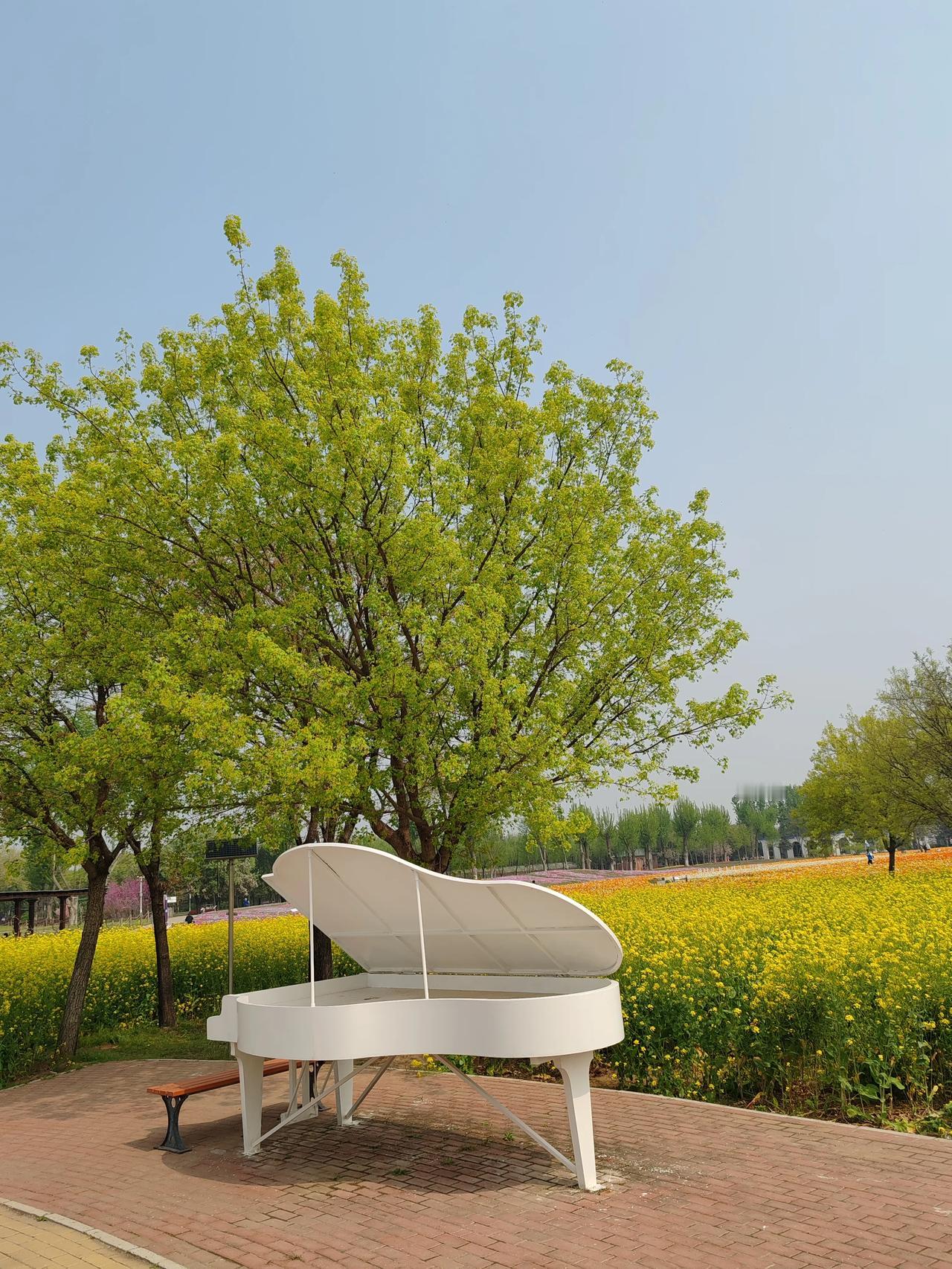 春日生活打卡季最美四月天，花海寻春情。