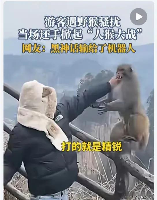 今天在网上看到这张人猴大战图，说是游客逛景区，遭遇野猴骚扰，于是展开了一场人猴大