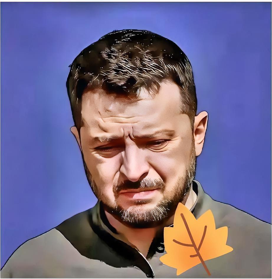 美乌和平草案曝光：纸上的停火，枪口下的交易

乌克兰总统办公室一纸声明，给满天飞