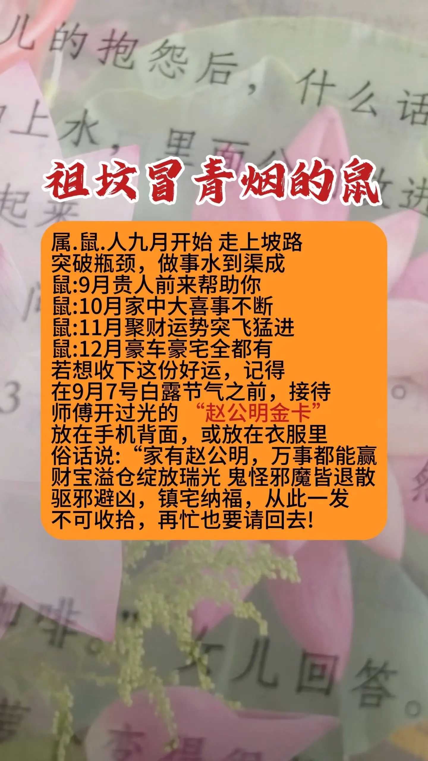 1996鼠 1984年老鼠 1972年的鼠