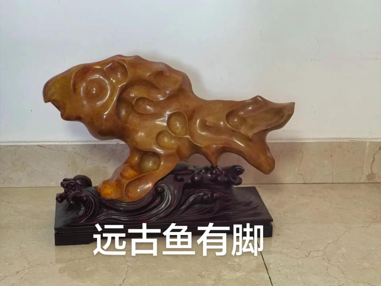 听说远古鱼有脚  人是从鱼变化来