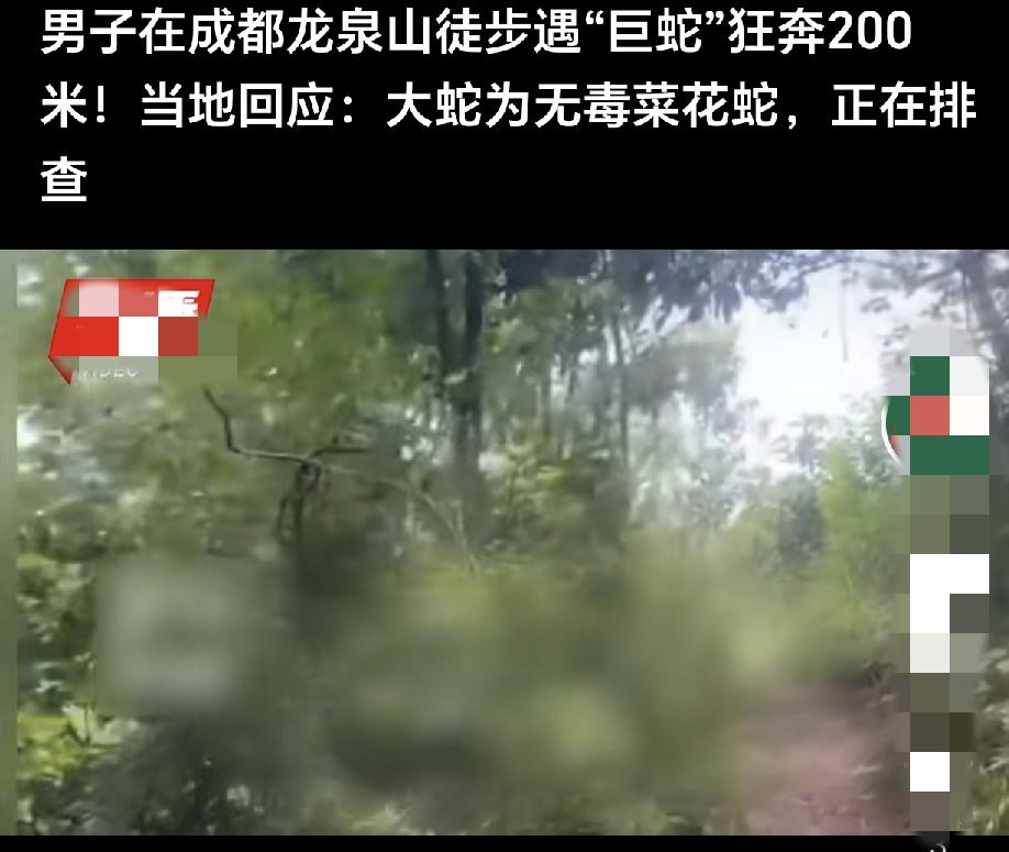 成都龙泉山惊现“巨蛇”追人？男子狂奔200米后，真相来了，网友却吵翻了！

6月