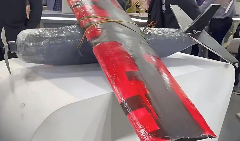 印度举行的这次AI峰会，难道是为了让自己出丑？

花了那么多钱，买了宇树科技的机