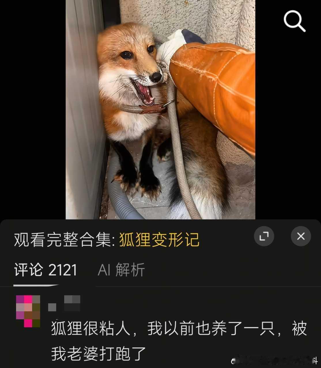 不凡间不会说话？ 
