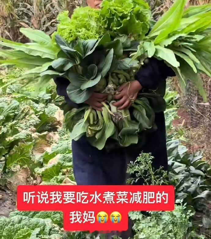 妈妈不知道你为什么突然要吃青菜，但了解你的饭量[可爱] ​​​